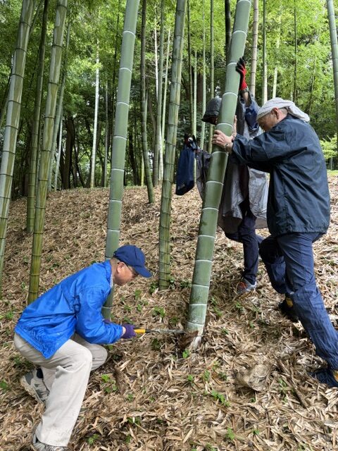 そうめん流し用竹伐採（2026.7.5）